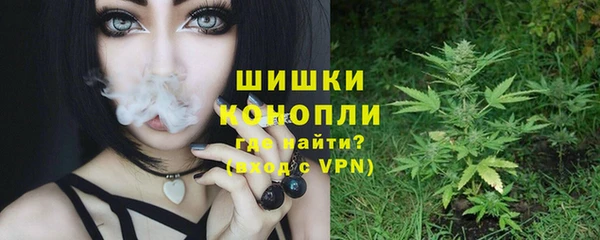 молекула духа Нягань