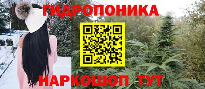 экстази Гай