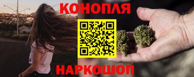 бошки Гагарин