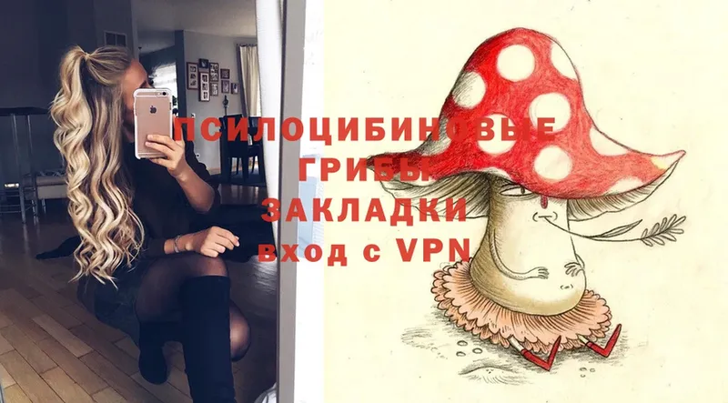 Псилоцибиновые грибы Magic Shrooms  Красноармейск 