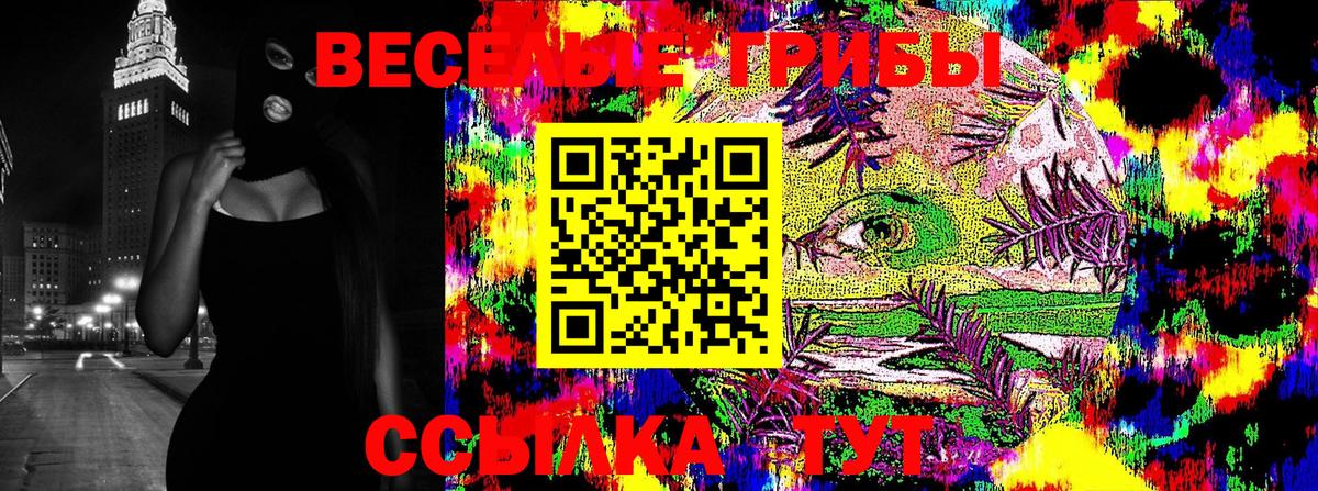 Галлюциногенные грибы Psilocybe Красноармейск